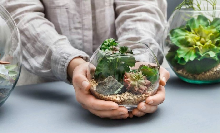Terrarium Workshop : Your Guide to Crafting Lush Microcosm